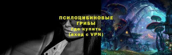гашик Алексеевка