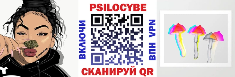 блэк спрут ССЫЛКА  Качканар  Галлюциногенные грибы Psilocybine cubensis  цена наркотик 